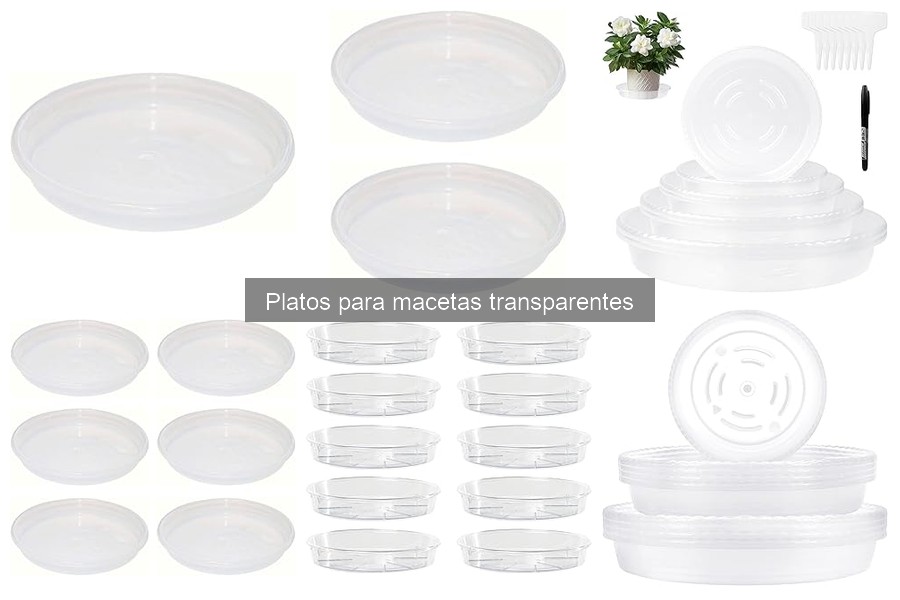 Opiniones sobre Platos Transparentes para Macetas