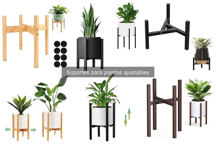Opiniones sobre Soportes Ajustables para Plantas