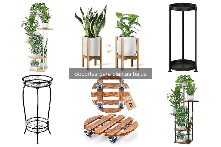 Opiniones sobre Soportes para Plantas Bajos: Reseñas de Usuarios