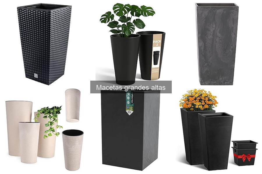 Optimiza el uso de macetas grandes altas para tus plantas