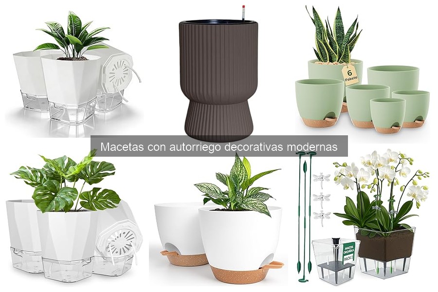 Personaliza Macetas con Autorriego: Ideas Modernas y Decorativas