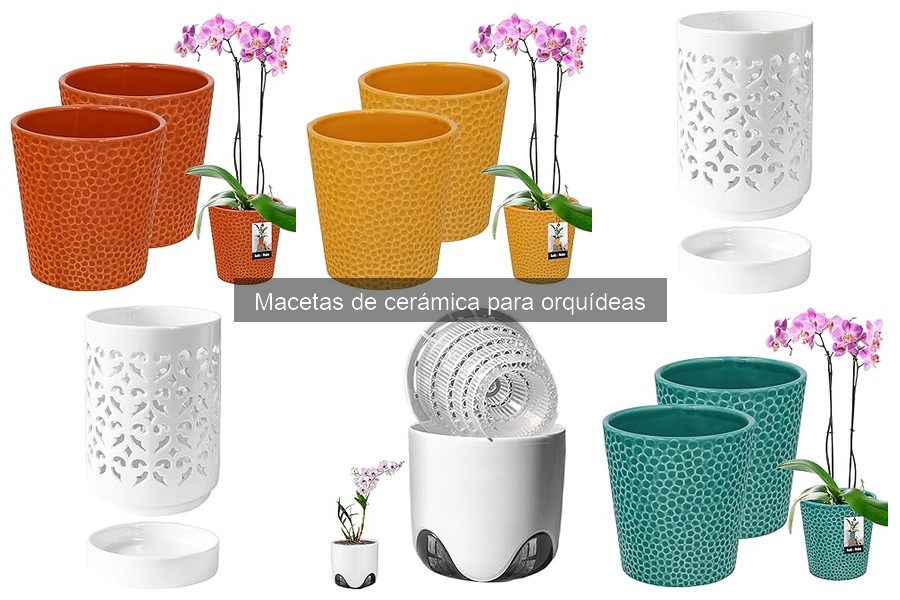 Personaliza tus macetas de cerámica para orquídeas fácilmente