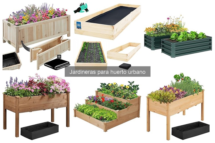Plagas y Enfermedades en Jardineras para Huerto Urbano