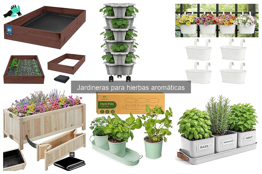 Plantar hierbas aromáticas en jardineras: pasos y consejos