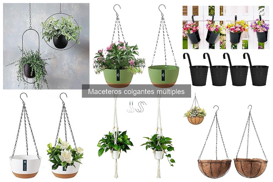 Plantas en maceteros colgantes múltiples: ¿surtirán en poca luz?