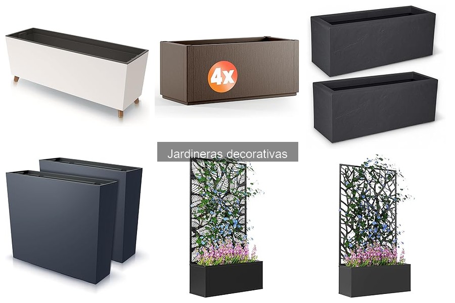 Plantas ideales para jardineras decorativas: guía práctica