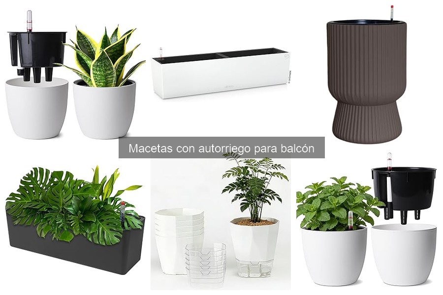 Plantas ideales para macetas con autorriego en balcón
