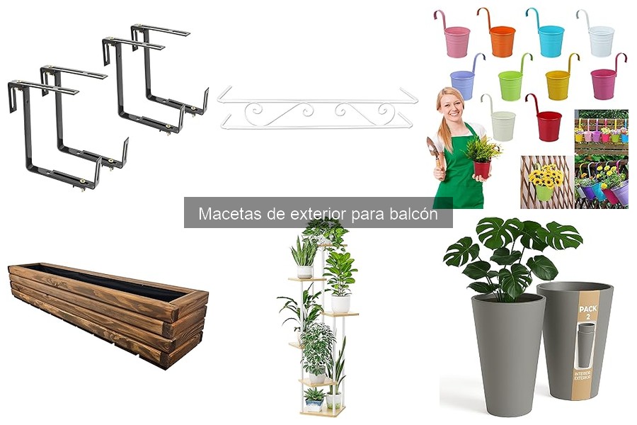 Plantas ideales para macetas de exterior en balcones