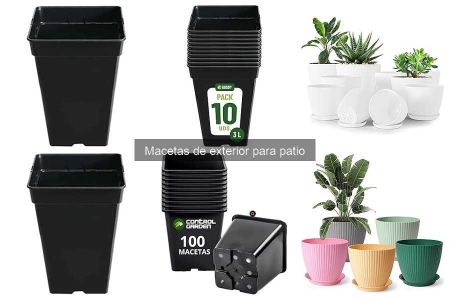 Plantas ideales para macetas de exterior en patios