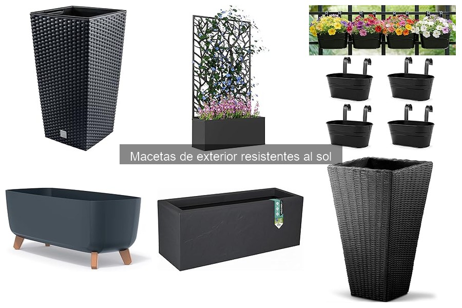 Plantas ideales para macetas de exterior en sol directo