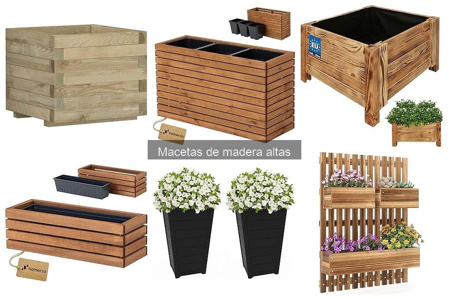 Plantas ideales para macetas de madera altas: ¡Descúbrelas!