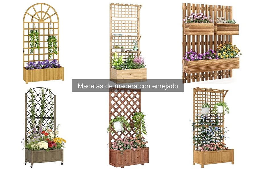 Plantas ideales para macetas de madera con enrejado