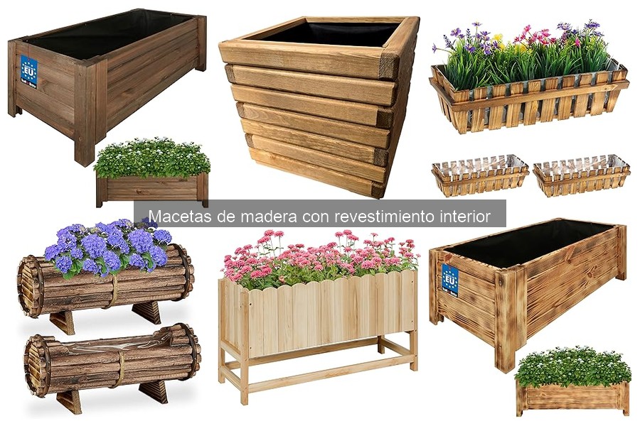 Plantas ideales para macetas de madera con revestimiento interior
