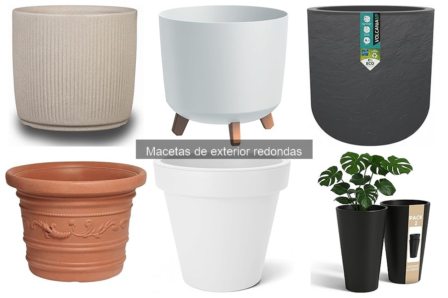 Plantas ideales para macetas redondas de exterior