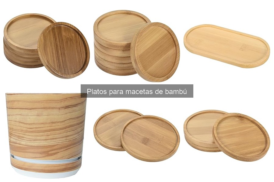 Platos de bambú ideales para tus plantas específicas
