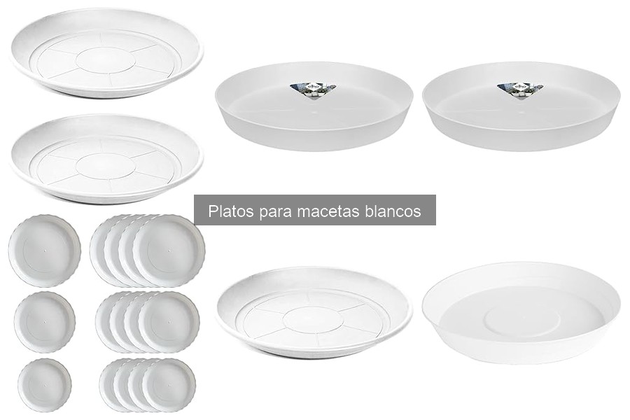 Platos para Macetas Blancas vs. de Colores: ¿Cuál Elegir?