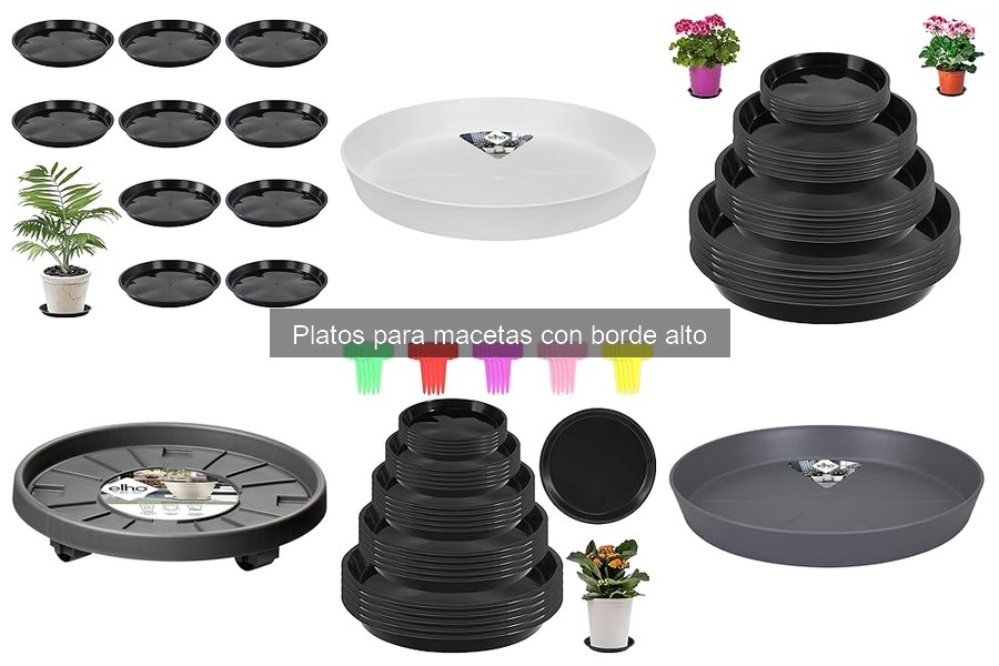 Platos para macetas con borde alto: ¿Qué son y características?