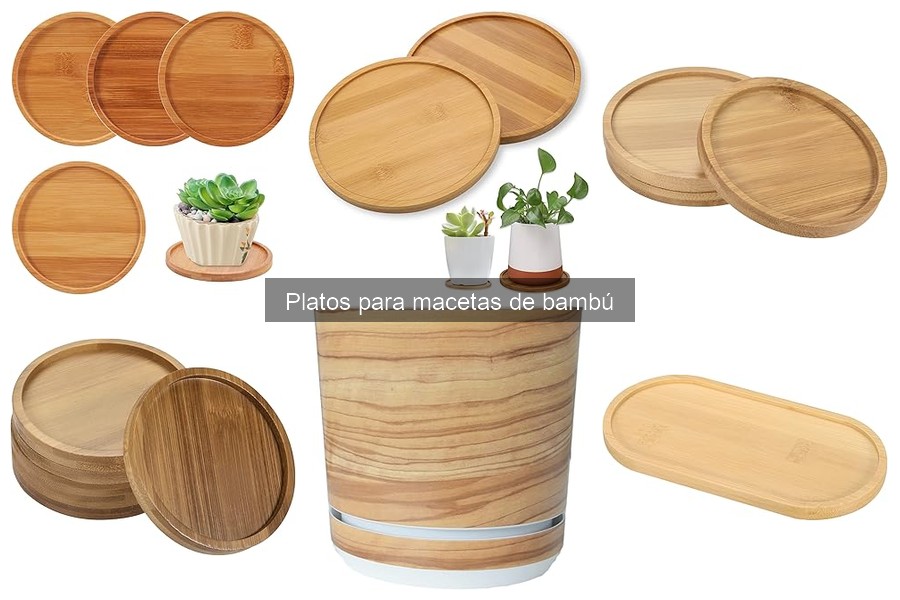 Platos para Macetas de Bambú: ¿Qué Son y Sus Beneficios?