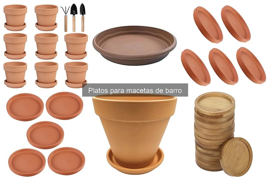 Platos para macetas de barro: características y funciones