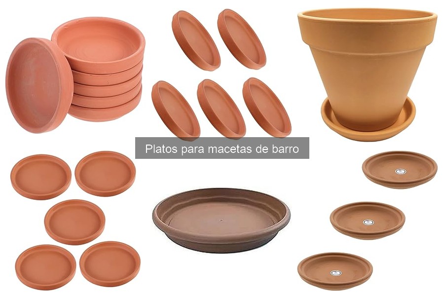 Platos para macetas de barro: tamaños y aplicaciones
