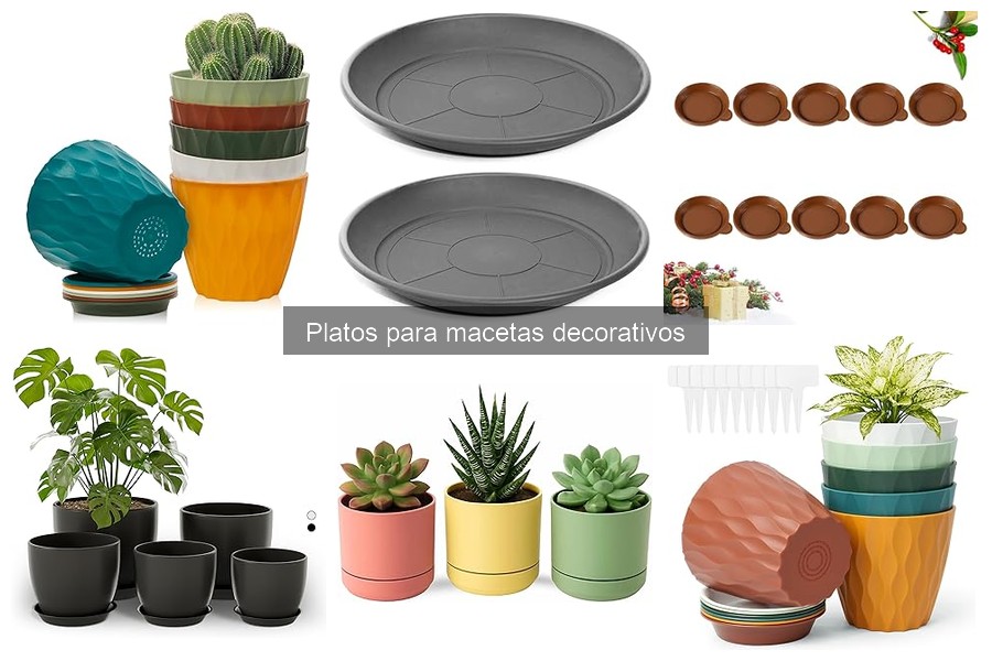 Platos para macetas decorativos: tendencias actuales en 2023