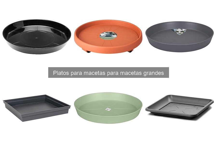 Platos para Macetas Grandes: Funciones y Beneficios