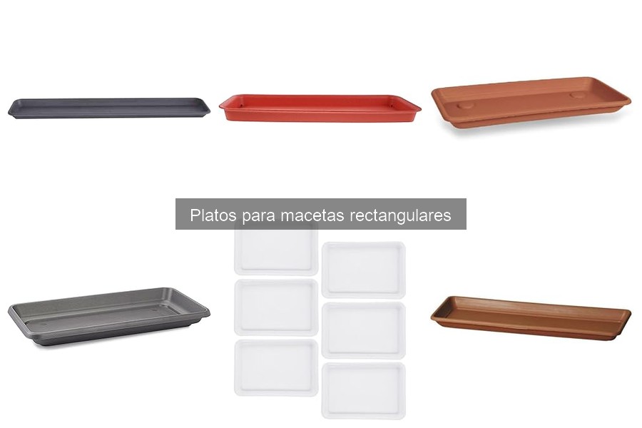Platos para macetas rectangulares: ¿Qué son y tipos?
