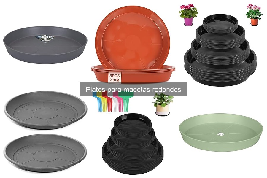 Platos para macetas redondos con autorriego: Mejores opciones