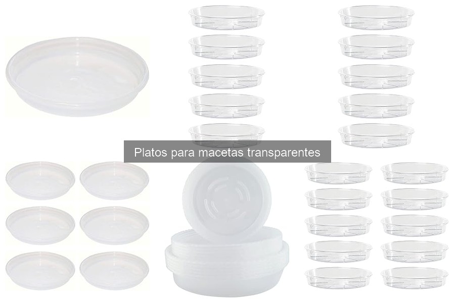 Platos Transparentes: Diseño Estético en Interiores