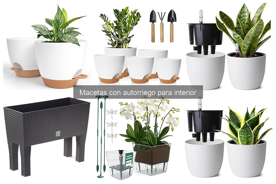 Por qué elegir macetas con autorriego para interiores