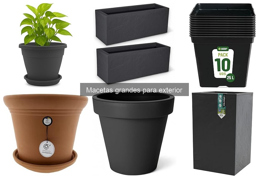 ¿Por qué son más costosas las macetas grandes para exterior?