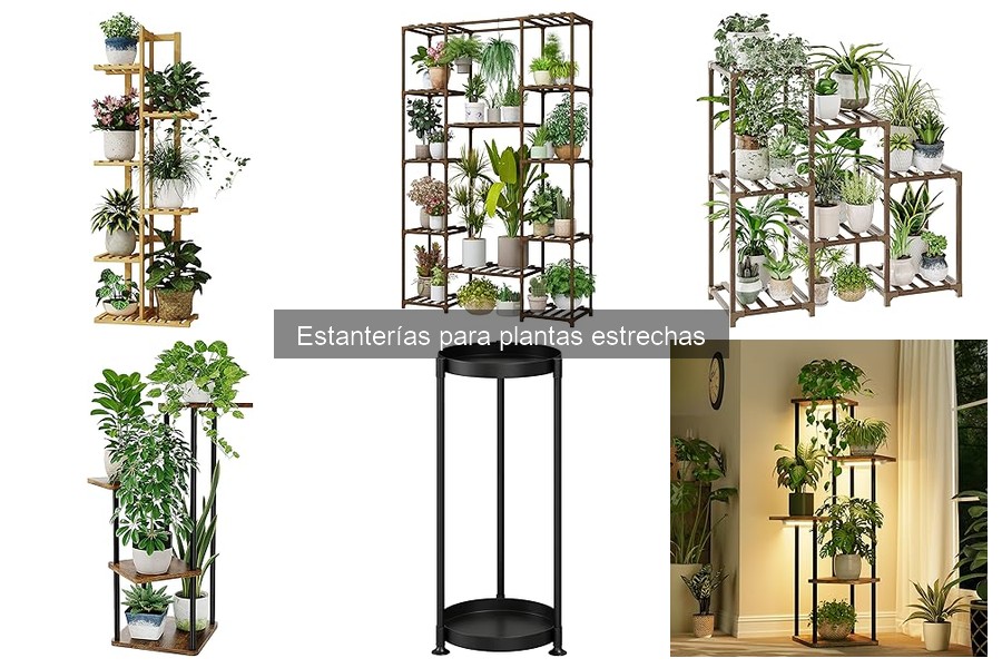 ** Precios de Estanterías para Plantas Estrechas: Opciones Económicas y Premium