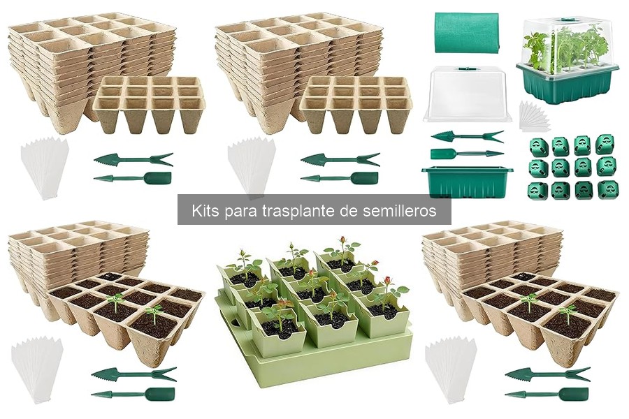 Precios de Kits para Trasplante de Semilleros: Guía 2023