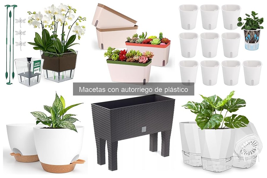 Precios de macetas con autorriego de plástico: guía de compra