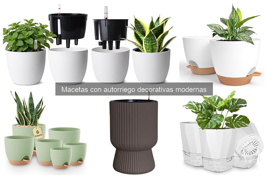 Precios de macetas con autorriego decorativas modernas