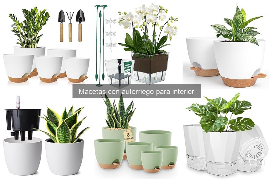 Precios de macetas con autorriego: opciones asequibles y premium