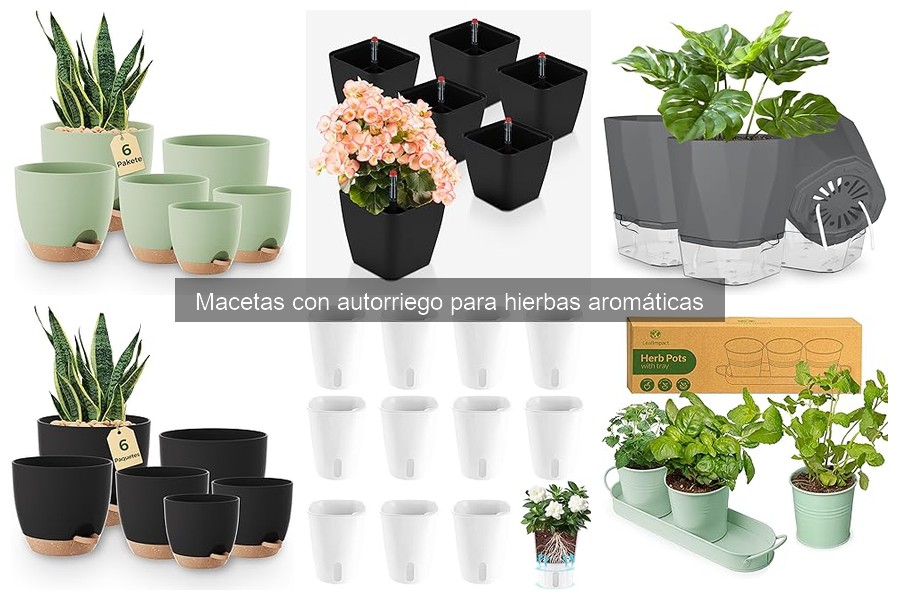 Precios de Macetas con Autorriego para Hierbas Aromáticas