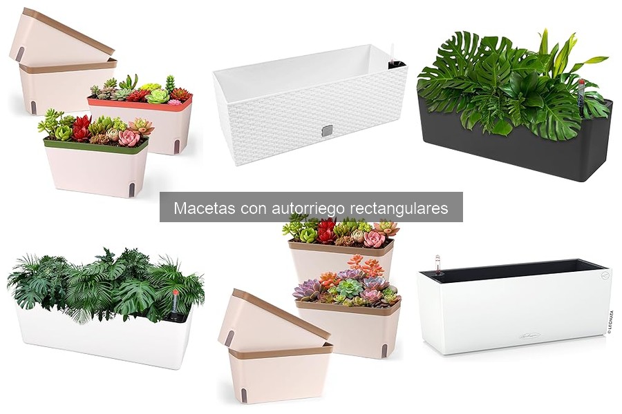 Precios de macetas con autorriego rectangulares
