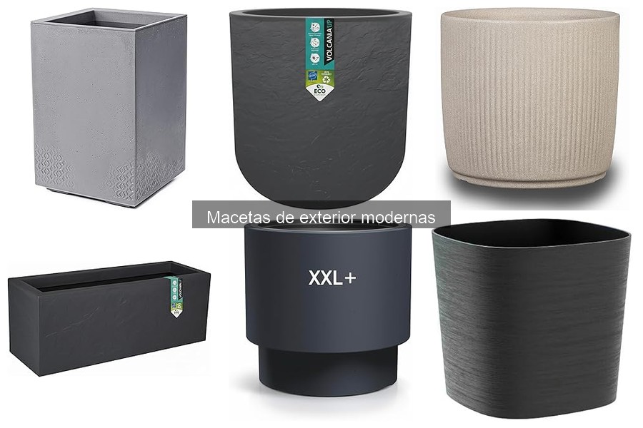 Precios de macetas de exterior modernas: ¿Cuánto cuestan?