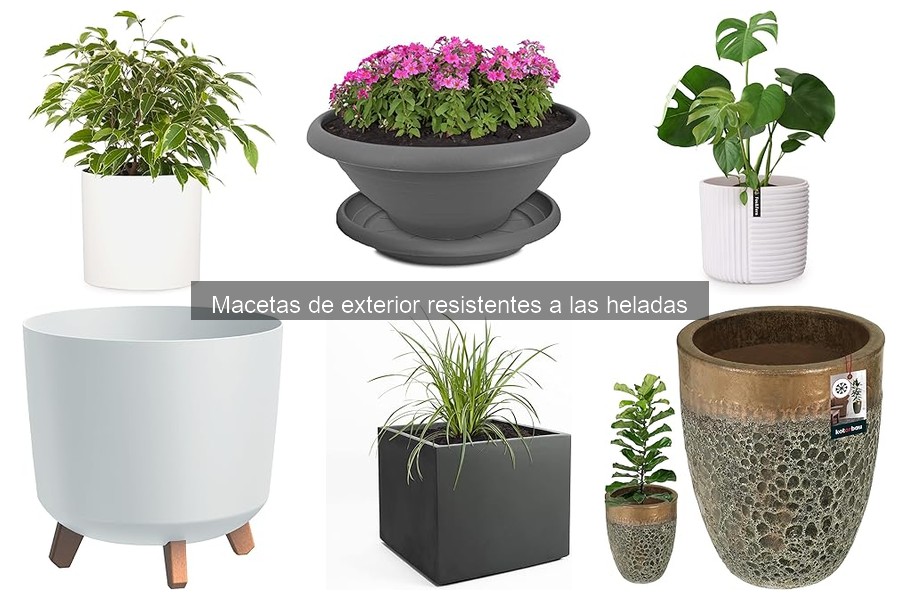 Precios de Macetas de Exterior Resistentes a las Heladas
