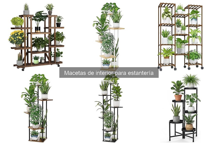 Precios de Macetas de Interior para Estantería: Mejores Ofertas