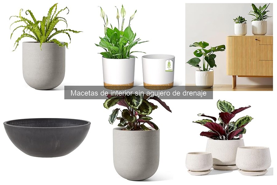 Precios de Macetas de Interior sin Agujero de Drenaje