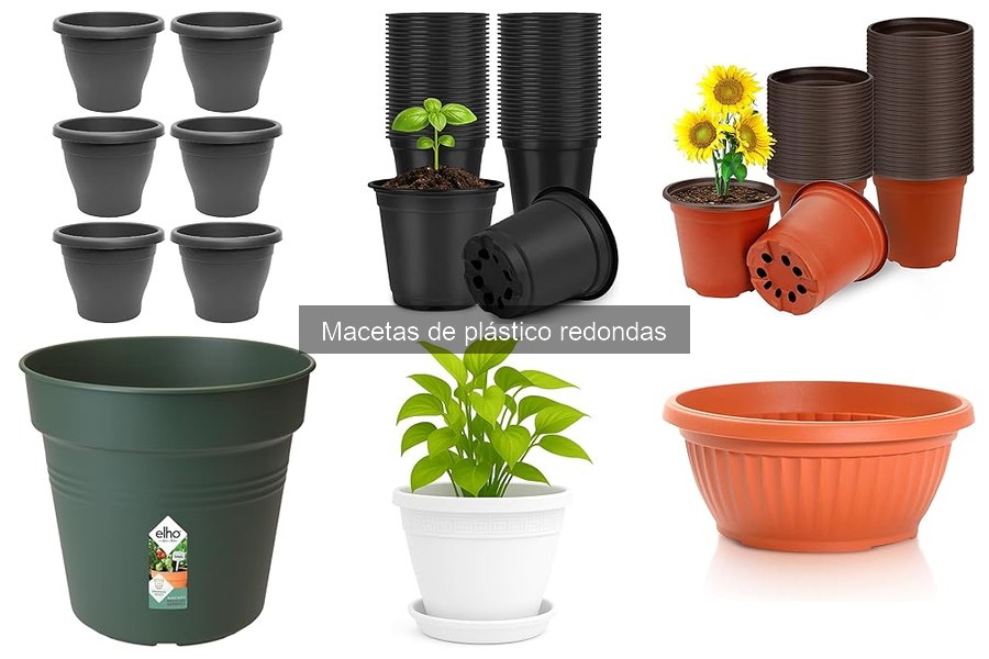 Precios de macetas de plástico redondas en Amazon