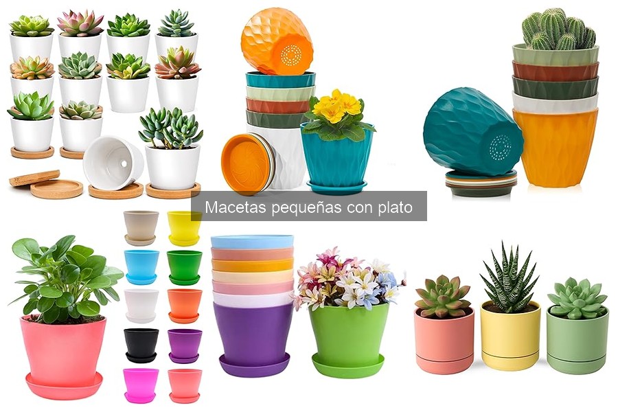 Precios de Macetas Pequeñas con Plato: Guía y Ofertas