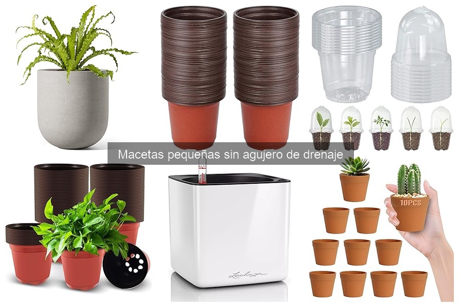 Precios de macetas pequeñas sin agujero en Amazon