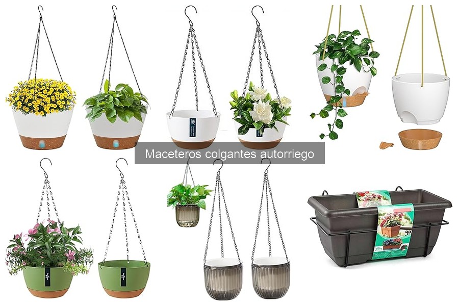 Precios de maceteros colgantes autorriego y dónde comprarlos