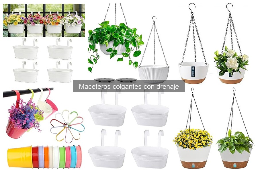 Precios de maceteros colgantes con drenaje en Amazon