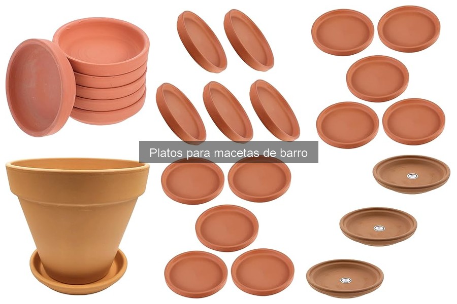 Precios de platos para macetas de barro: guía 2023