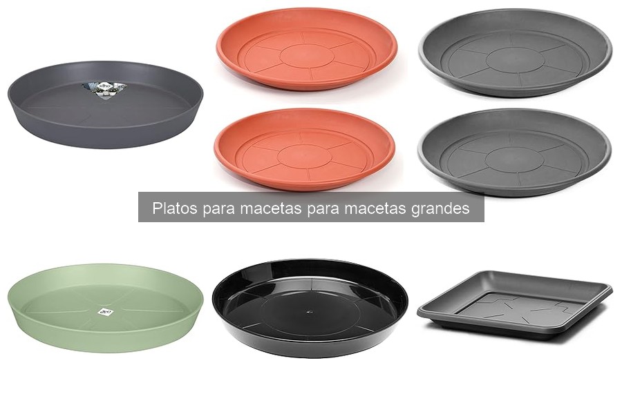 Precios de platos para macetas grandes y dónde comprarlos