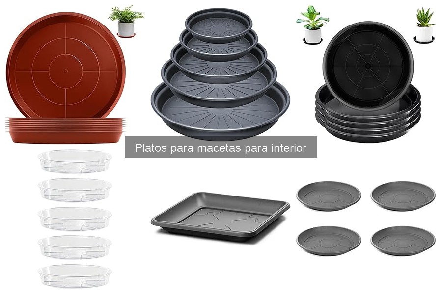 Precios de platos para macetas y dónde comprarlos